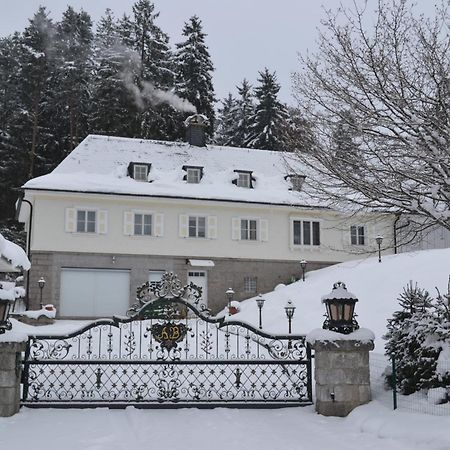 Schwarwald Apartment シュルッフゼー エクステリア 写真